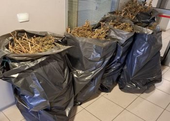 Χειροπέδες για εμπορία χασίς