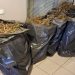 Χειροπέδες για εμπορία χασίς