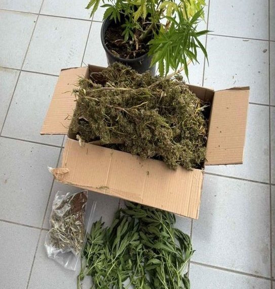 Έφοδος Αστυνομικών σε οικία στα Τρίκαλα