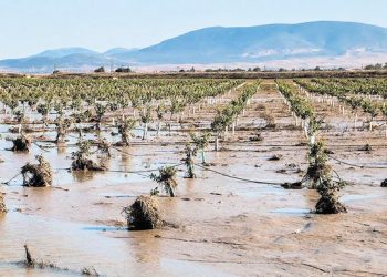 Νέα πρόσκληση για την ενίσχυση πληγεισών επιχειρήσεων από την κακοκαιρία «Daniel»