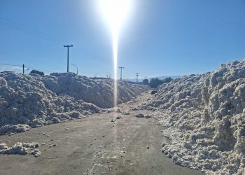 Εντυπωσιακό ξεκίνημα για την ΕΑΣ  Τρικάλων στην βαμβακοσυλλογή