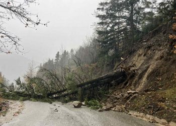 Κατολισθητικά φαινόμενα στα ορεινά του Νομού Τρικάλων