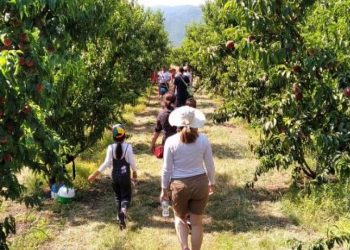 Εναλλακτικός τουρισμός και προστασία φυσικού πλούτου στον Νομό Τρικάλων