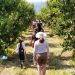 Εναλλακτικός τουρισμός και προστασία φυσικού πλούτου στον Νομό Τρικάλων