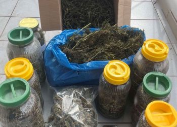Έφοδος Αστυνομικών σε οικία στα Τρίκαλα