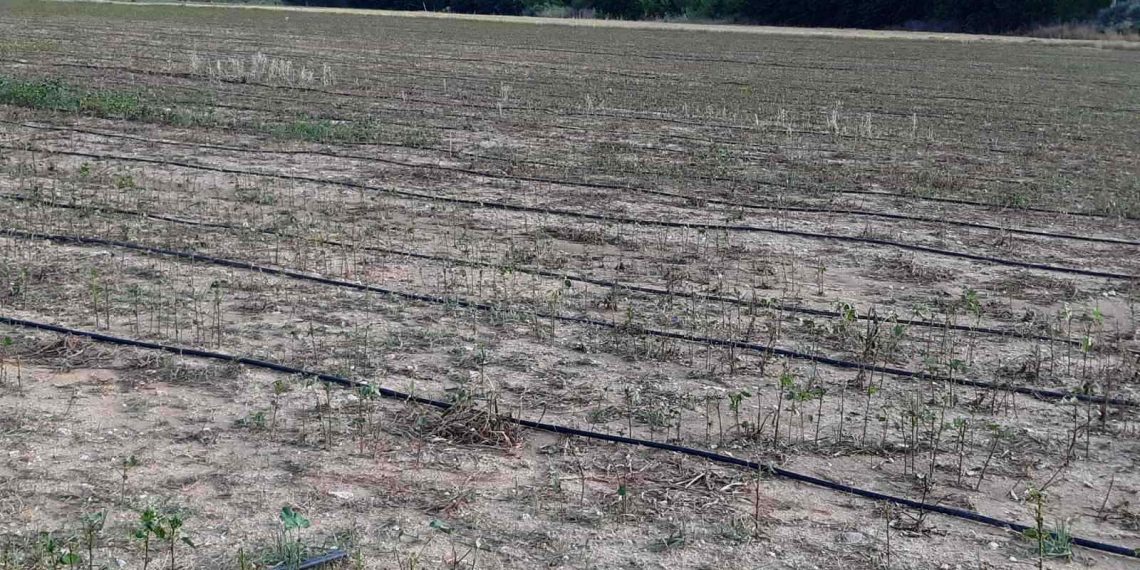 Αποζημιώσεις  άμεσες και δίκαιες στο 100% της ζημιάς χωρίς κόφτες