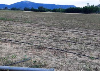Αποζημιώσεις  άμεσες και δίκαιες στο 100% της ζημιάς χωρίς κόφτες