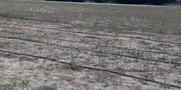 Αποζημιώσεις  άμεσες και δίκαιες στο 100% της ζημιάς χωρίς κόφτες